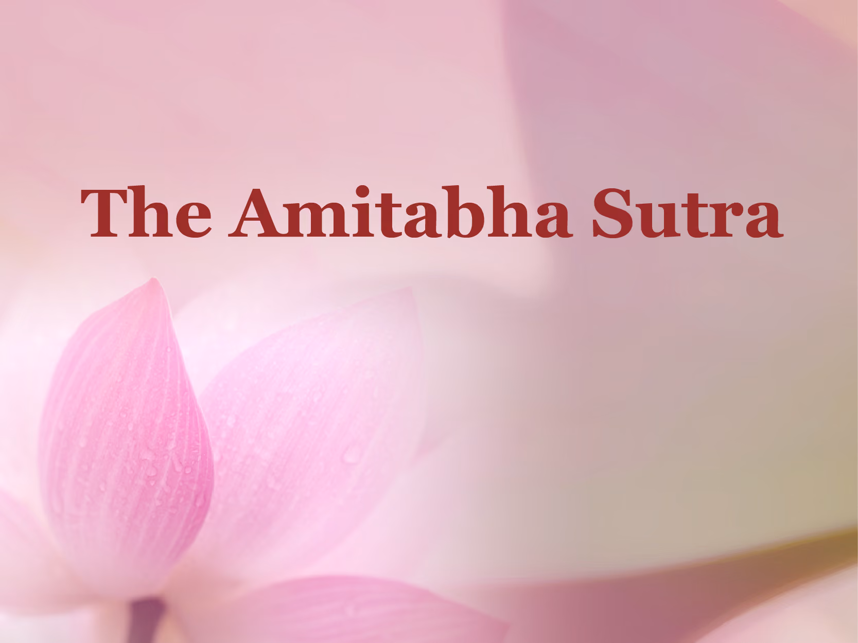 The Amitabha Sutra