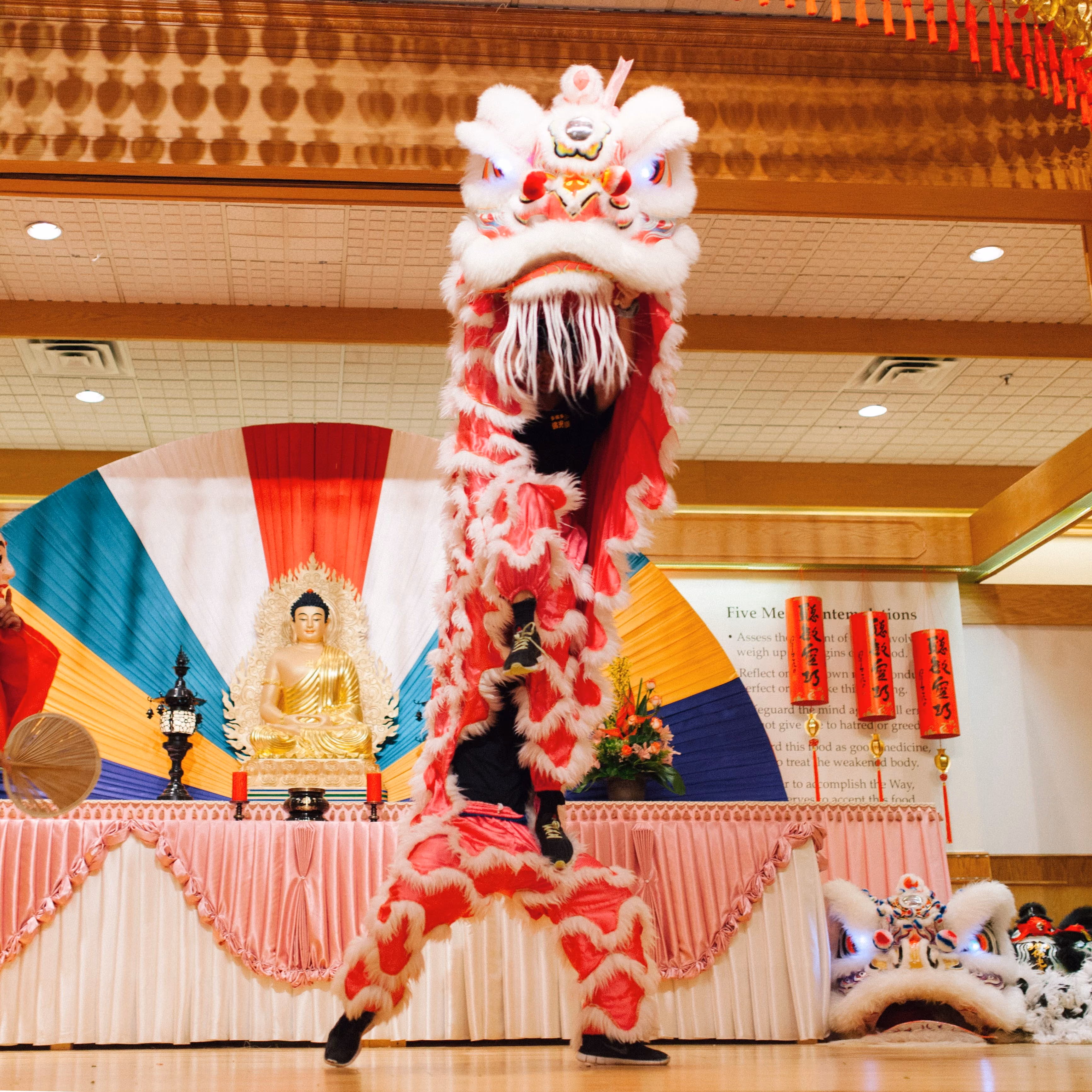 Lion and Dragon Dance Team